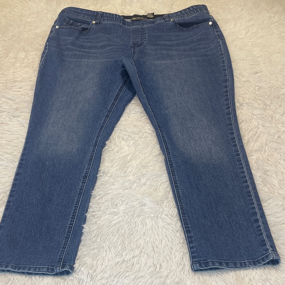 DG2 Classic Blue Women's Jeans SIZE 1X PULL ON ELASTIC WAISTBAND DIANE GILMAN